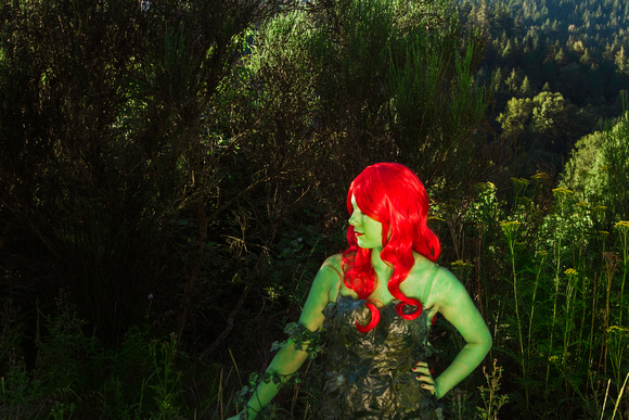 Poison Ivy